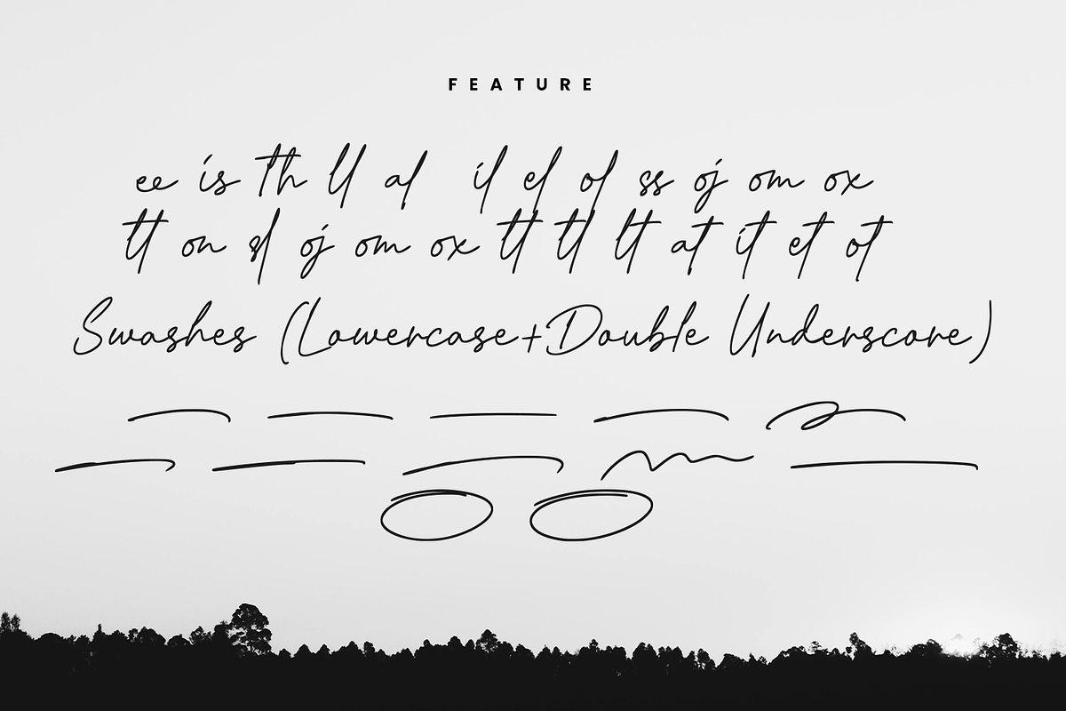 Bestone Signature, a Handwritten Font by Glyphstyle (Photo 7 of 11)