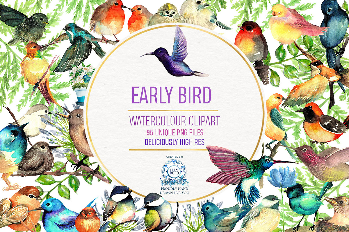 95 Bird Watercolor Clipart Graphics, an Animal Illustration by LilyBoo Clipart (Photo 1 of 4)