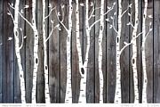 Birch tree silhouettes, EPS, SVG, a Graphic by Illustree (Thumbnail 3 of 4)