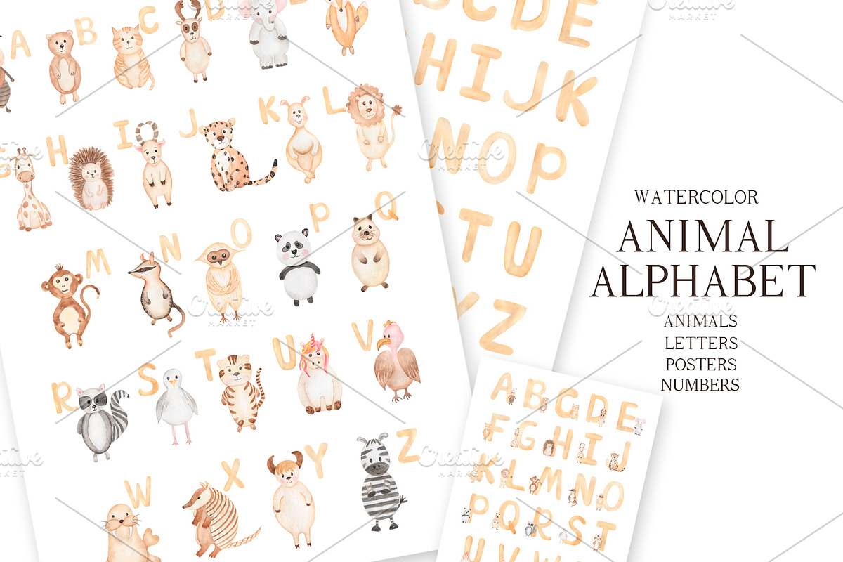 Watercolor Animal Alphabet, an Education Illustration by MayaNavits (Photo 1 of 7)