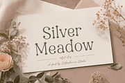 Beadcharm: Weird and Wonderful Font, a Serif Font by Letterhanna Studio (Thumbnail 7 of 9)