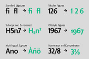 Bella Sans (family font), a Sans Serif Font by PeanutButter Type (Thumbnail 14 of 18)