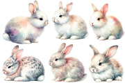 Watercolor Rabbit clipart, an Illustration by Designworld (Thumbnail 4 of 6)