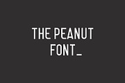 The Peanut Font, a Sans Serif Font by Sven Pels (Thumbnail 1 of 6)