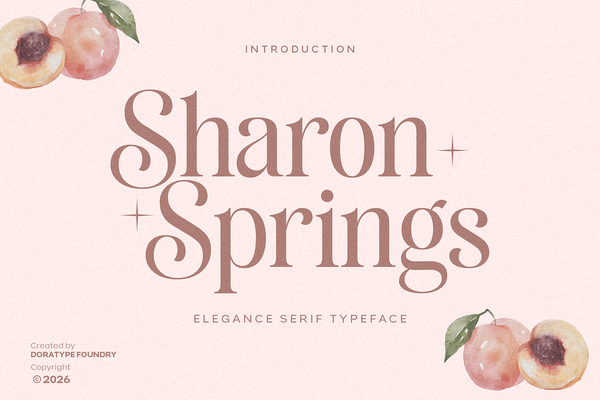 Sharon Springs, a Serif Font by Dora Typefoundry (Photo 1 of 11)