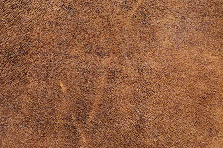 Leather texture containing abstract, animal, and antique
