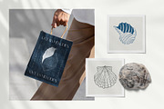 Ocean Shells Illustration, an Object Illustration by KetteCreate (Thumbnail 16 of 17)