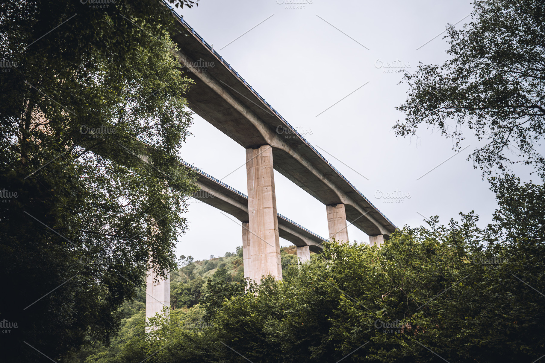 Bridge over forest valley landscape, an Architecture Photo by SkyNext