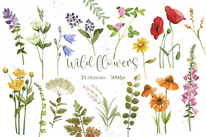 Watercolor Wild Flowers, Wild Field