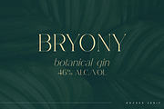 Noceur - elegant serif typeface, a Serif Font by Only Fonts (Thumbnail 3 of 10)