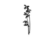 Botanical bundle - svg, png, a Decorative Illustration by Watercolor_Vector Graphic (Thumbnail 25 of 26)
