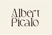 Blore - Elegant Serif Font, a Serif Font by suhadidesign (Thumbnail 3 of 12)