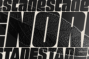 Desta – Font Family, a Font by Stefano Giliberti (Thumbnail 5 of 9)