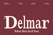 CS Delmar Mix, a Serif Font by Craft Supply Co. (Thumbnail 1 of 8)