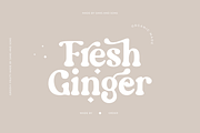 Groovy Fruity - Retro Serif, a Serif Font by Sans & Sons (Thumbnail 3 of 10)