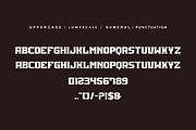 Qulizer, a Serif Font by alon kelakon (Thumbnail 5 of 6)