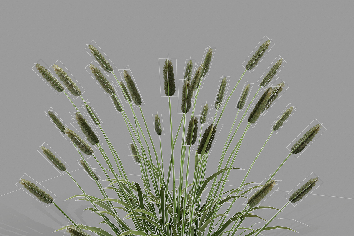 Shrub 2, an Environmental 3D Model by AndrewWhite (Photo 14 of 14)