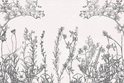 Dried Flowers, Petals, Shoots, an Illustration by TheBlackPixelCo (Thumbnail 5 of 8)
