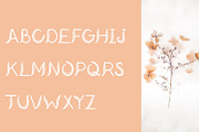Wild Charm Handwritten Script Font, a Script Font by Yiru Chen Studio (Thumbnail 3 of 14)