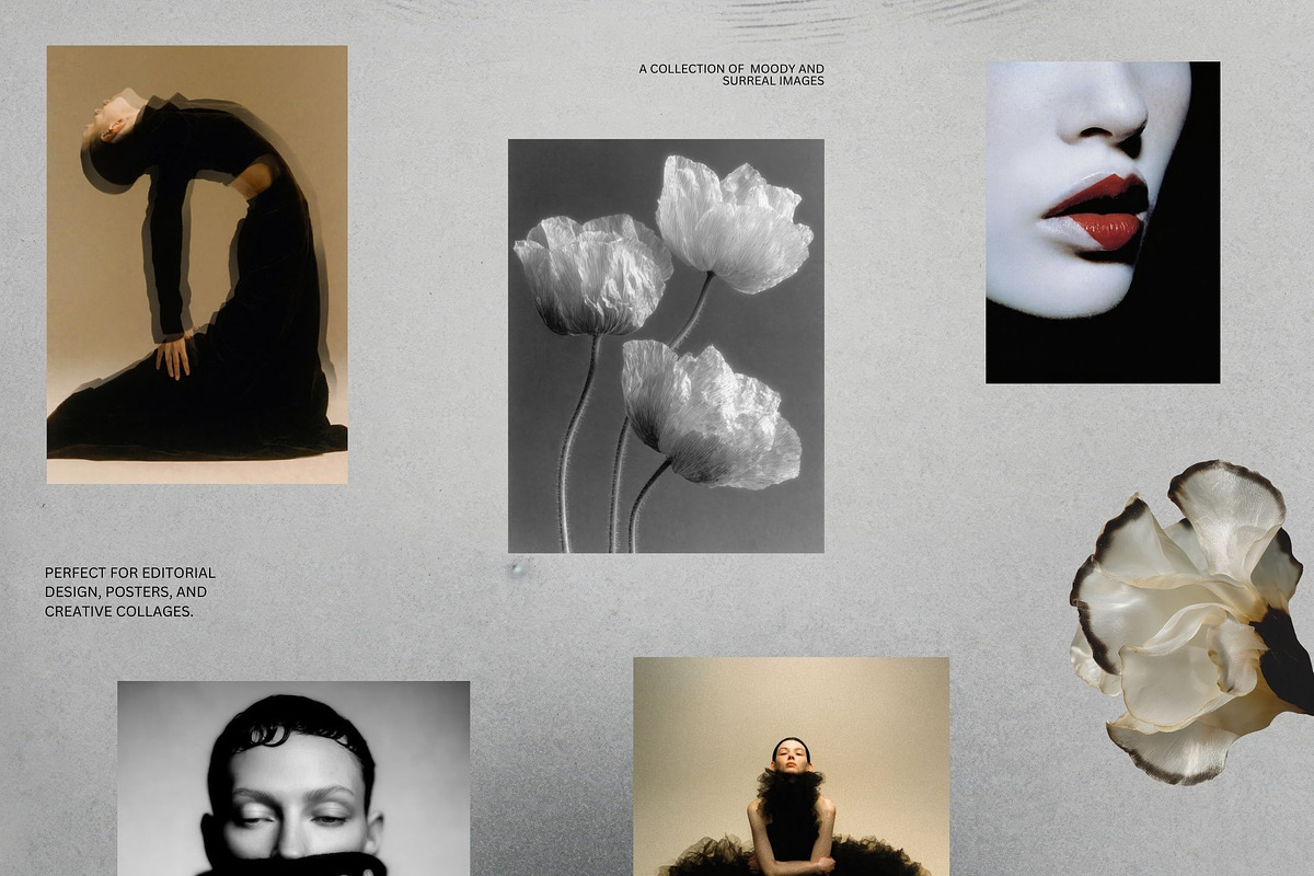 Dark Romance - Visual Archive, an Object Graphic by Natali Batu (Photo 10 of 13)