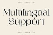Sagite Modern Serif Font, a Serif Font by Letterena Studios (Thumbnail 12 of 15)