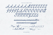 The Old Habit Vintage Script Font, a Script Font by AnMark (Thumbnail 7 of 13)