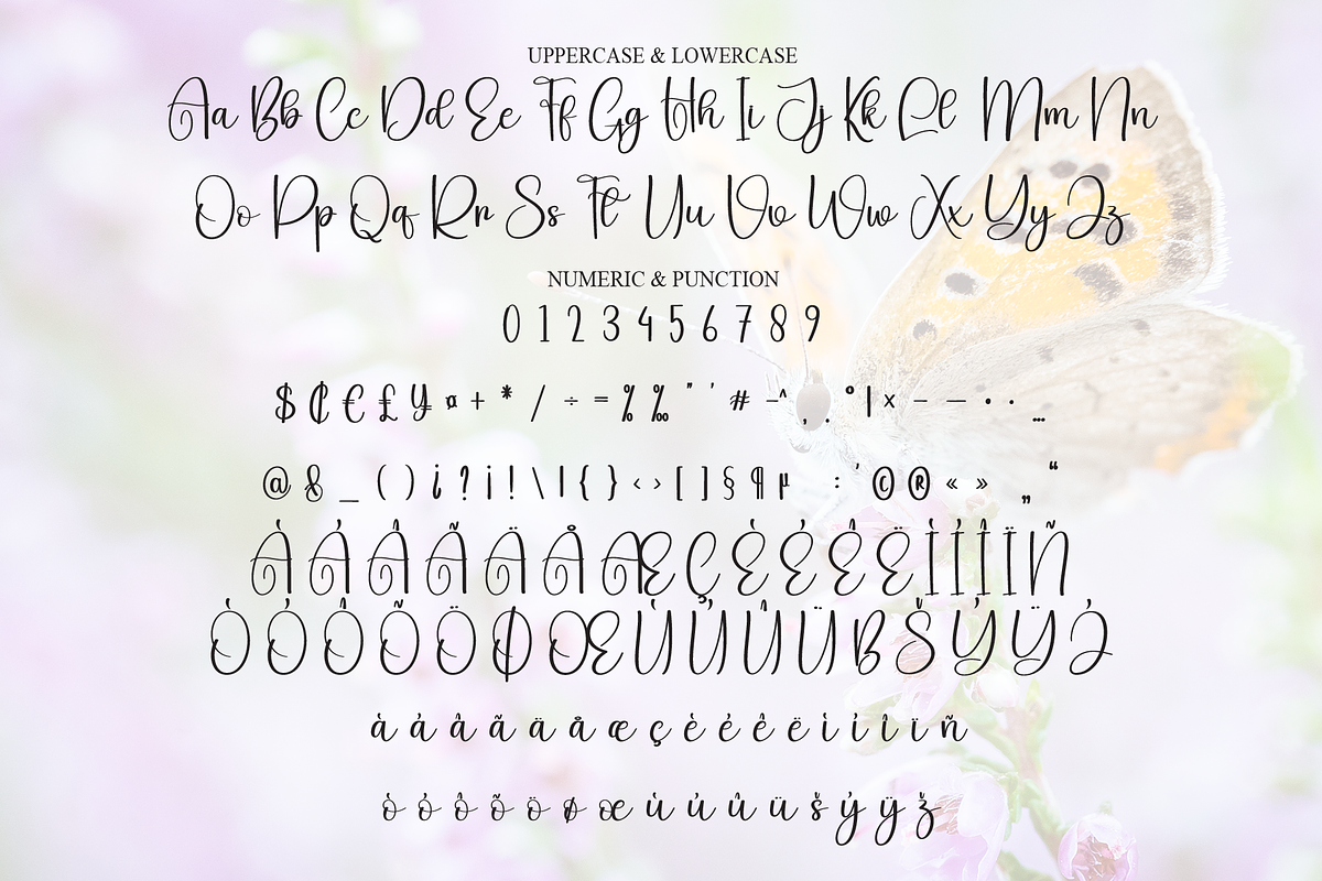 Baby Butterfly | Script Font, a Handwritten Font by Scratchones (Photo 7 of 8)
