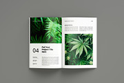 Botanic Portfolio Brochure Layout, a Magazine Template by Seeing-art (Thumbnail 6 of 11)