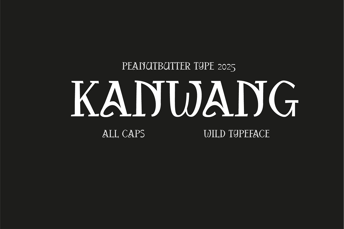Kanwang Wild Serif, a Serif Font by PeanutButter Type (Photo 1 of 6)