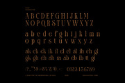 Sakira Elegant Serif Font Typeface, a Serif Font by Graphicxell (Thumbnail 8 of 8)