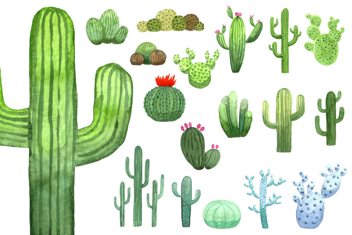 Watercolor Cacti, an Illustration by skrich (Photo 2 of 3)