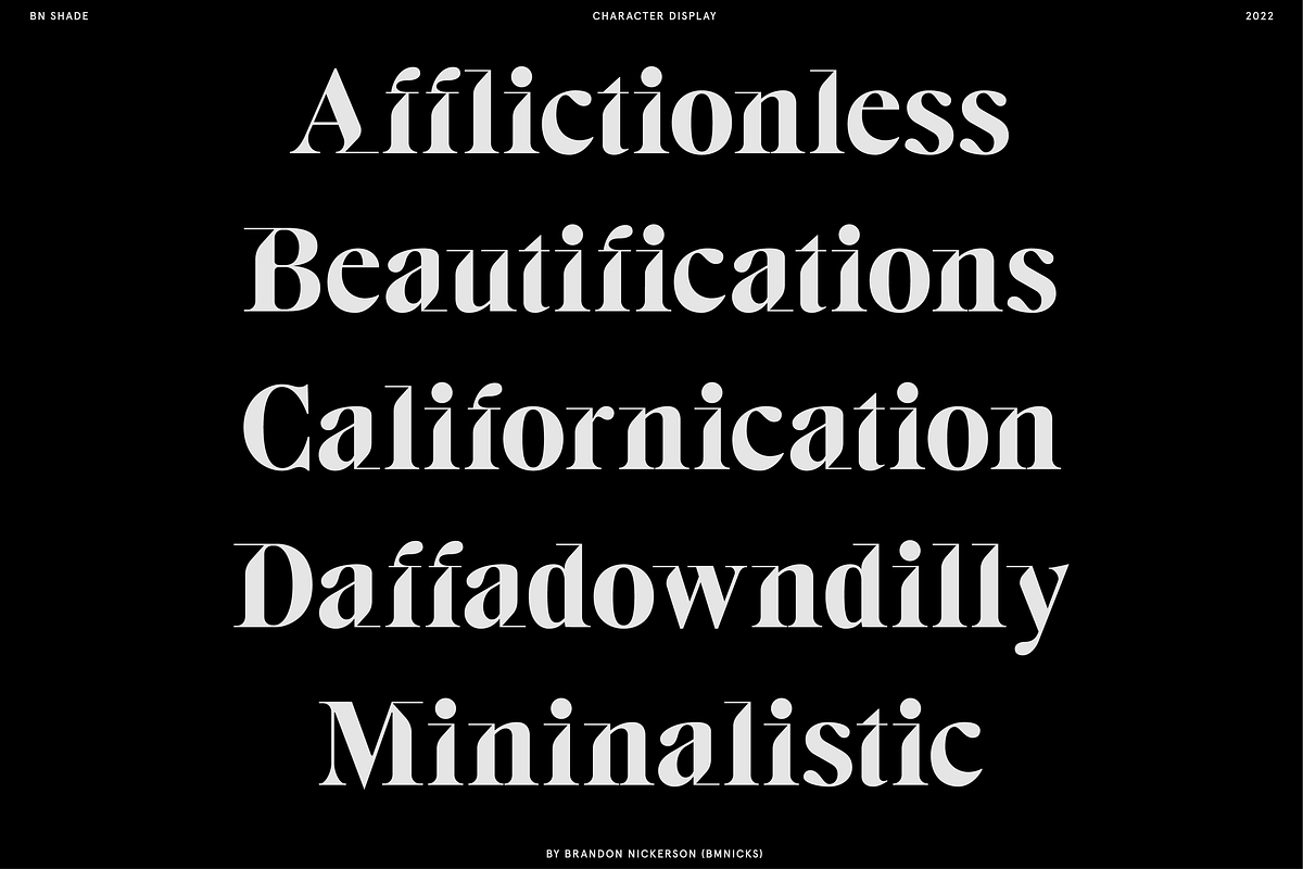 BN Killwit, a Serif Font by Bnick (Photo 3 of 13)