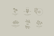 100 Floral Logo Templates, a Branding & Logo Template by AlienValley (Thumbnail 3 of 9)