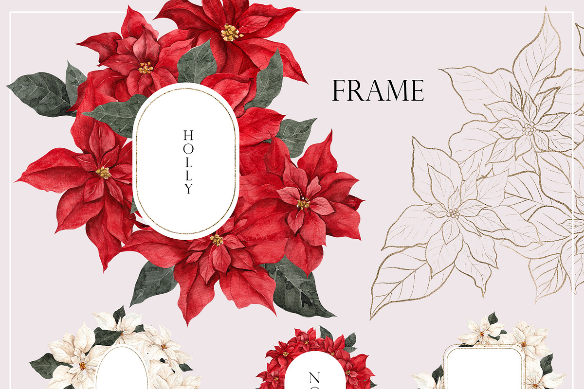 Poinsettia. Christmas Flower, an Object Illustration by ma_i_vi (Photo 5 of 10)