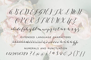 Great Mischief Hand Calligraphy, a Script Font by INKMETHIS (Thumbnail 3 of 5)