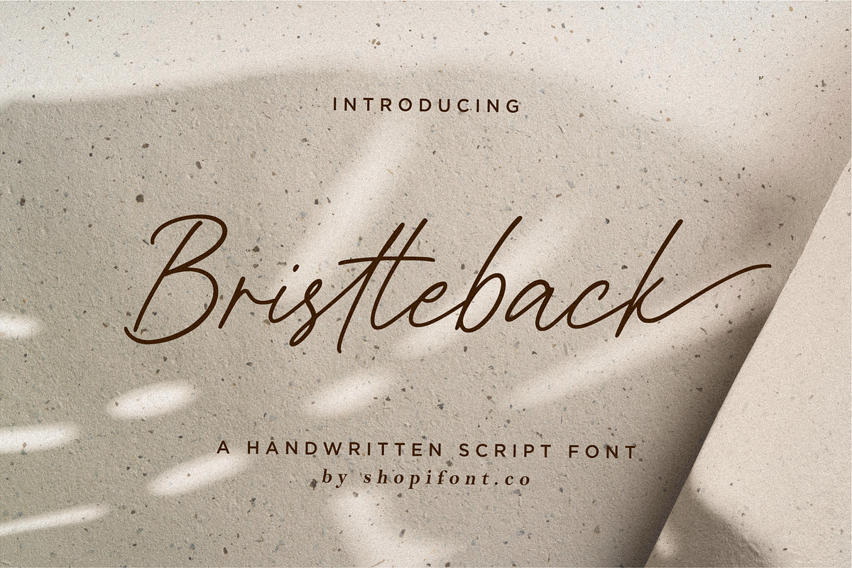 Bristleback, a Script Font by Shopifont.co (Photo 13 of 13)