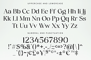Megalky | Modern Elegant Serif Font, a Serif Font by Rissyletter Studio (Thumbnail 10 of 12)