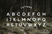 Heart of the Land, a Font by McLetters (Thumbnail 3 of 8)
