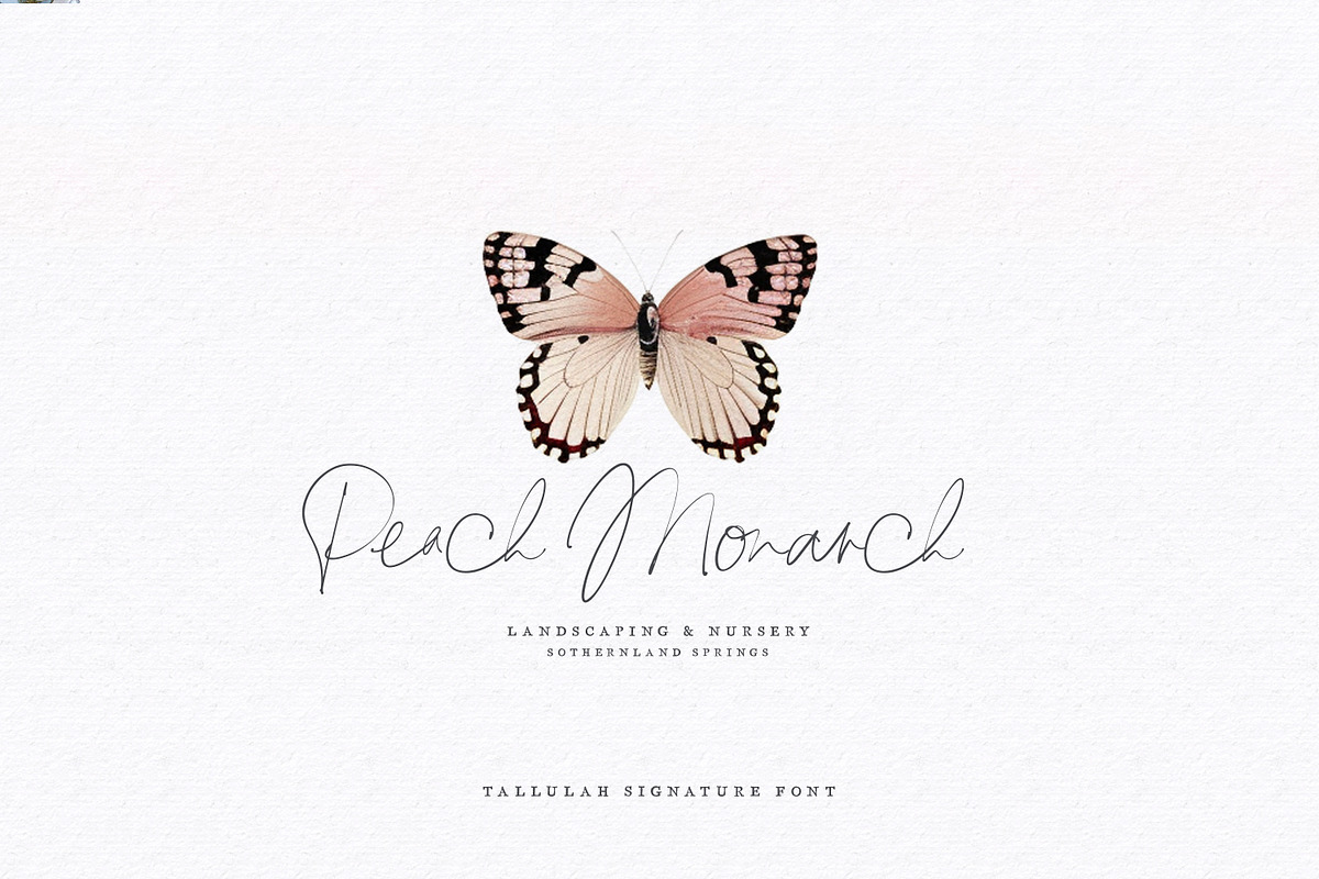 Tallulah Signature Script, a Script Font by Callie Rian & Co. (Photo 17 of 17)