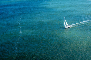 Sailboat gliding through the bay near Golden Gate Bridge, San Fr, a Transportation Photo by GoodGoods