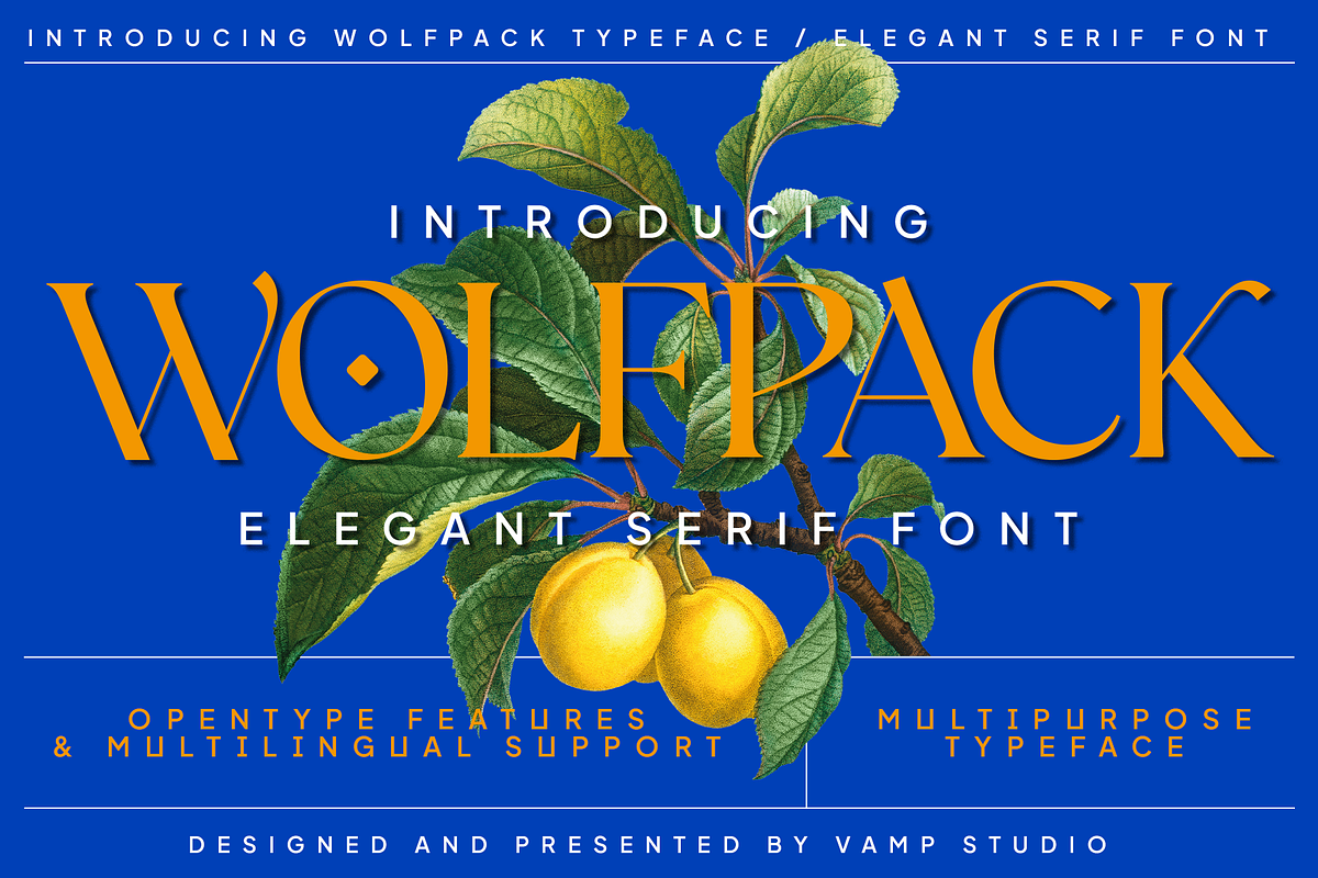 Wolfpack Elegant Stylish Font, a Serif Font by Vampstudio (Photo 1 of 14)