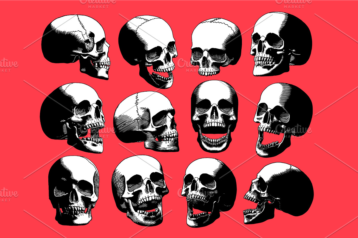 Vector Engraved Skulls Set, an Illustration by Andres M Rodriguez (Photo 1 of 5)