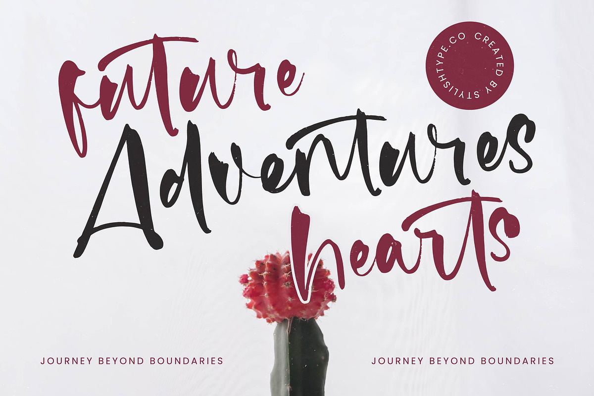 Fainter Bold Brush Font, a Script Font by stylishtype.co (Photo 16 of 20)