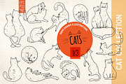 Funny cats. Hand drawn collection, a Decorative Illustration by Alena Kaz (Thumbnail 1 of 4)