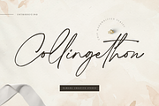 Collingethon Chic Handwritten Script, a Script Font by Namara Creative Studio (Thumbnail 1 of 12)