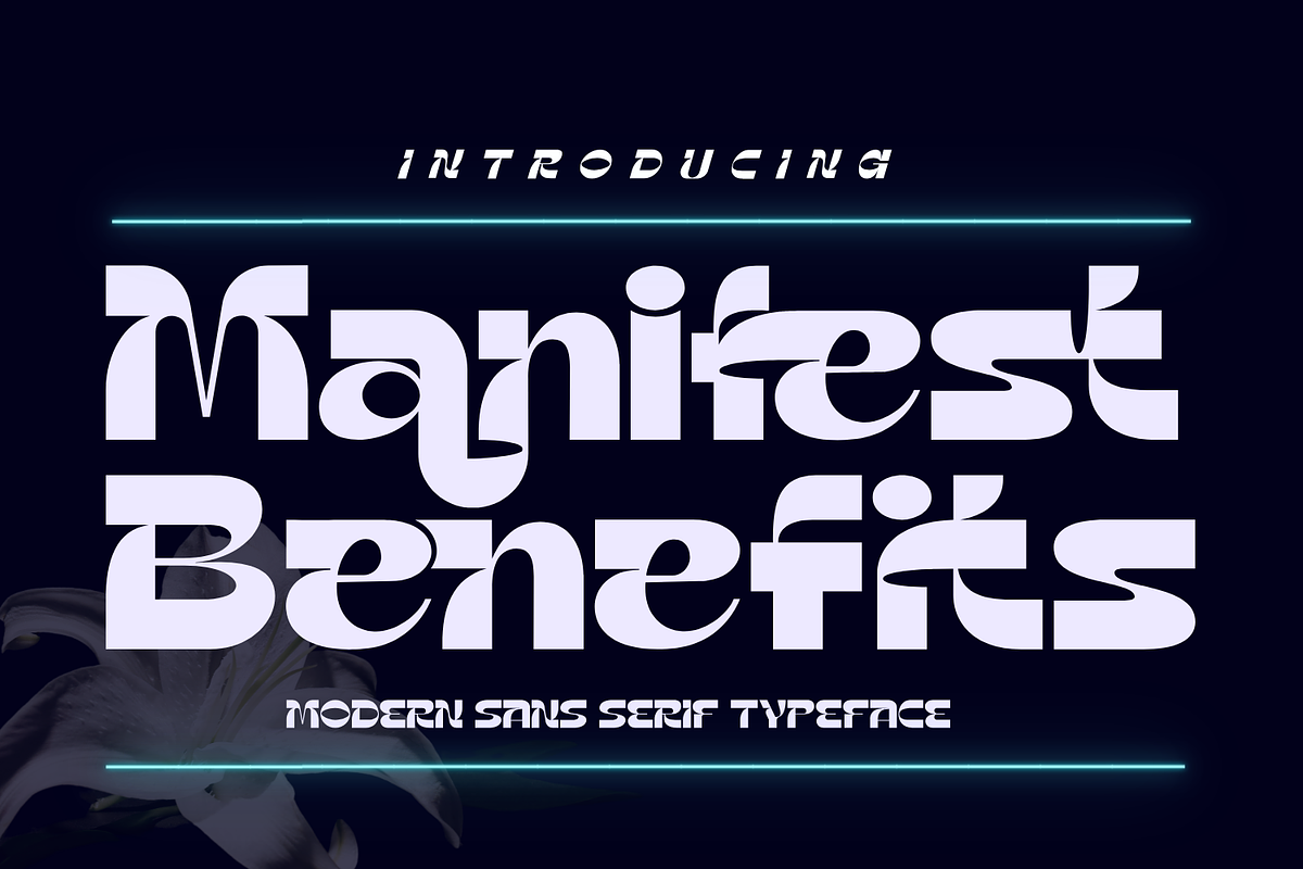 Manifest Benefits Font, a Sans Serif Font by 177Studio (Photo 1 of 8)