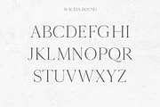 Wacian Serif Font Family, a Serif Font by Creativetacos (Thumbnail 3 of 9)
