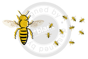 Bee