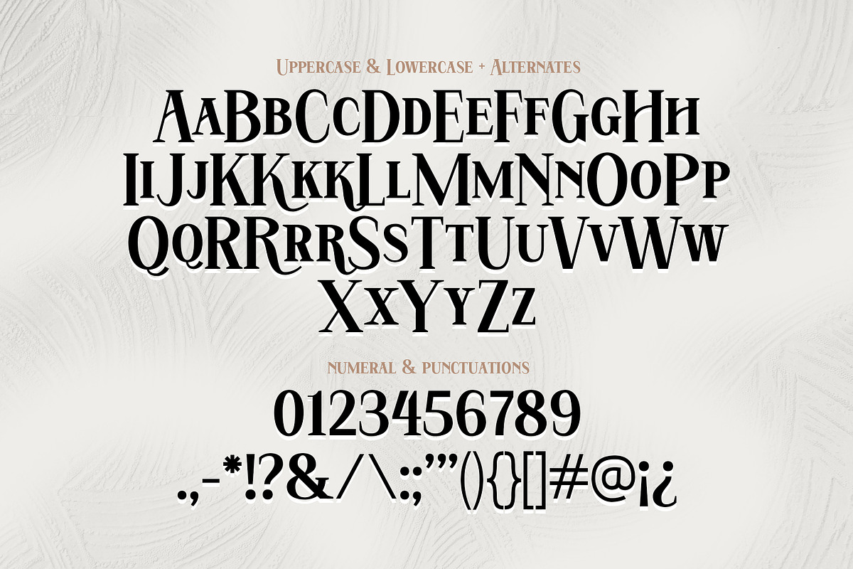 Hatem, a Serif Font by Drizy (Photo 8 of 11)