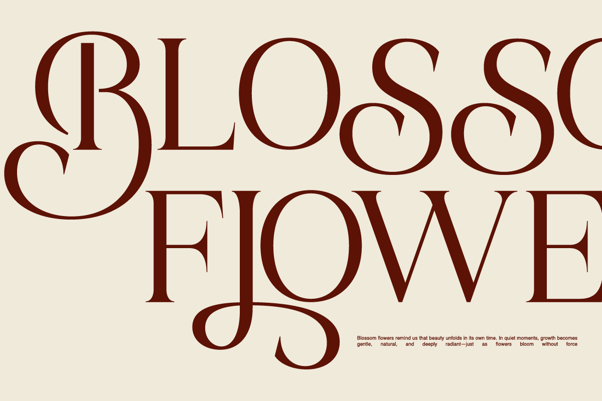 Bela Serfane Elegant Serif Font, a Serif Font by Rasio Studio (Photo 6 of 11)